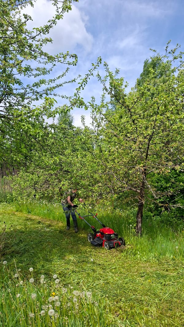 Spring yard work day in rural Belarus village