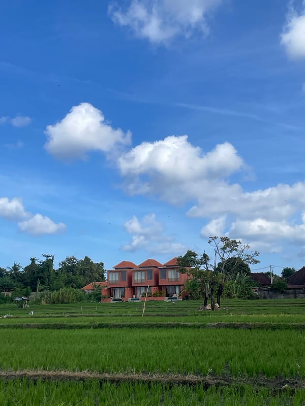 Kites, rice paddies, and Balinese shrines in North Kuta
