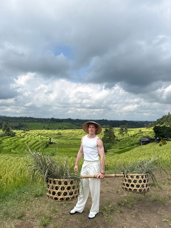 Early morning rural life documented in Penebel rice fields