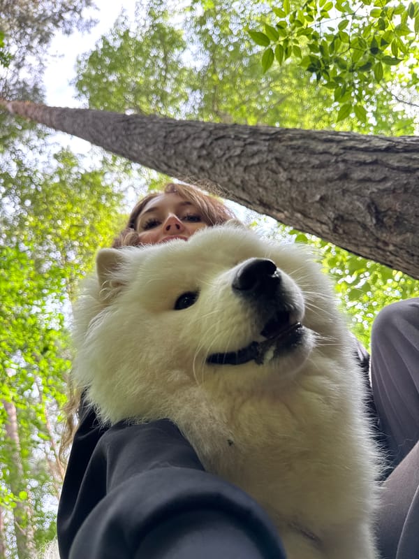 Casual afternoon hangout with a dog in Chaikovsky, Russia