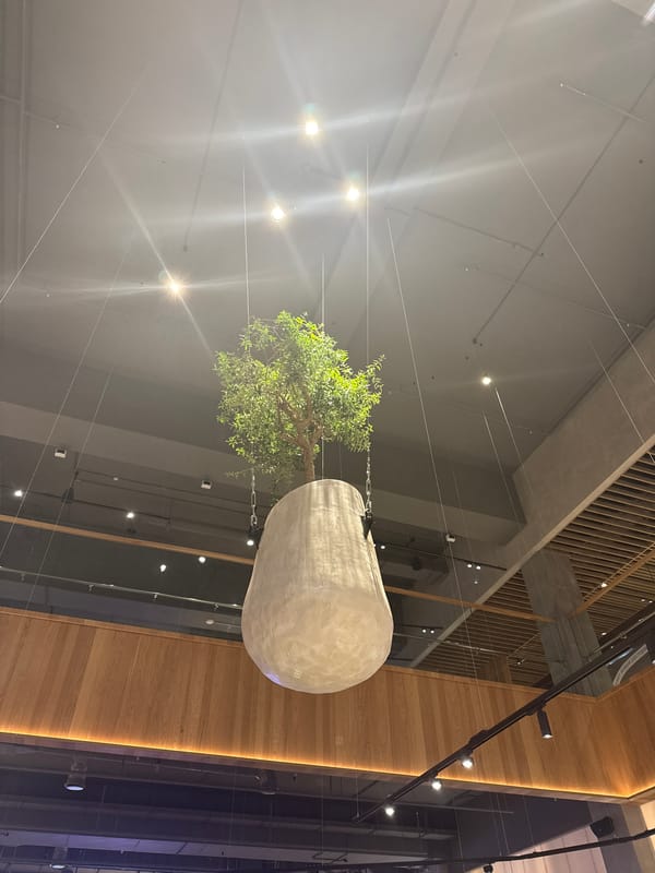 Morning scenes captured at Yekaterinburg establishment with unique decor