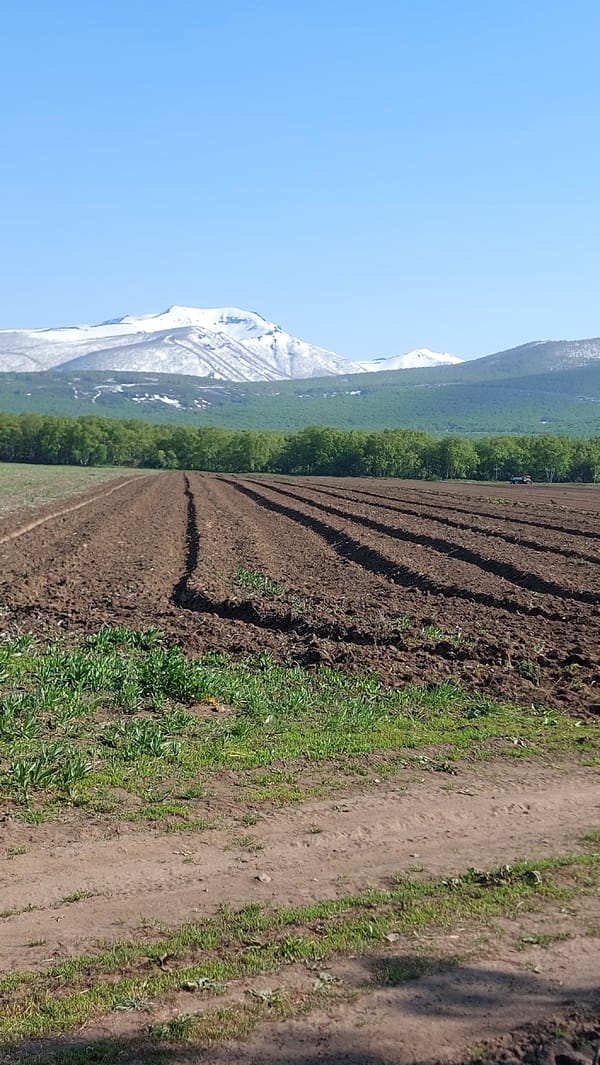 Morning rural scenes documented around Zelenyi, Russia farmland