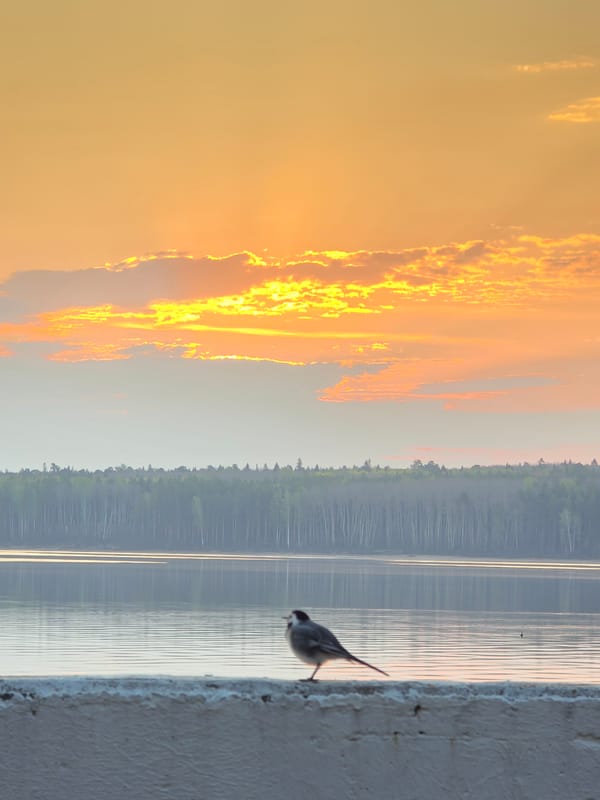 Sunset over lake witnessed in Chaikovsky, Russia
