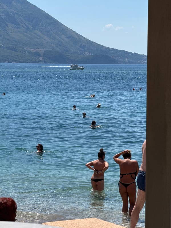 Beach, boats, and tortoises on a sunny Budva morning