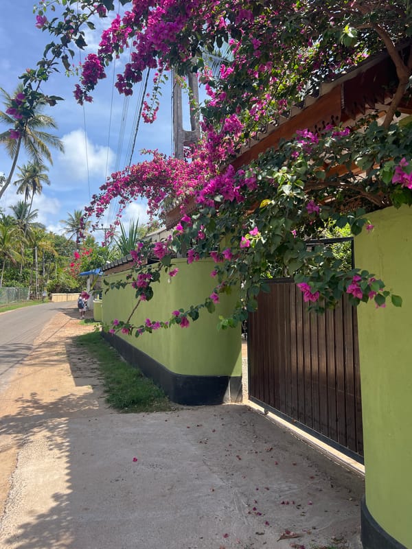 Morning poolside scenes documented at Kabalana resort property