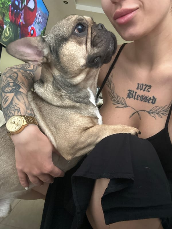 French Bulldog photo session captured in Stara Zagora