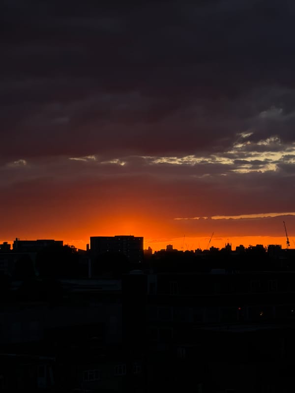 Dramatic sunset captured across London rooftops Friday evening
