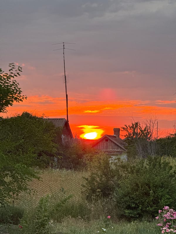 Rural garden glows under a dramatic orange sunset sky