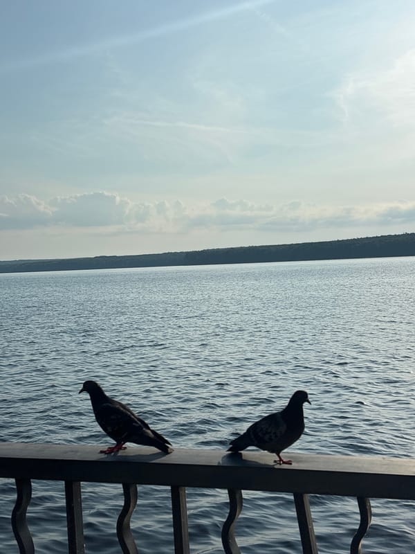 Lazy summer day along the Chaikovsky waterfront promenade
