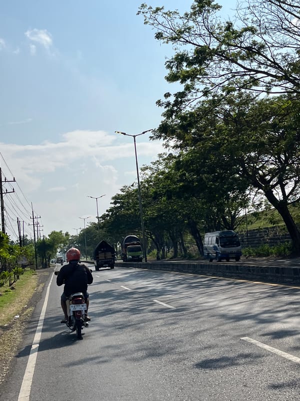 Everyday street life along a busy East Java road