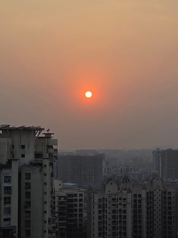 Mumbai witnesses capture urban sunset and crow in netting