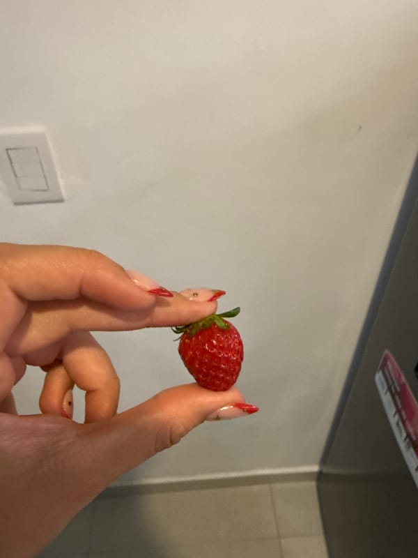 Person holds fresh strawberry in Puebla, Mexico