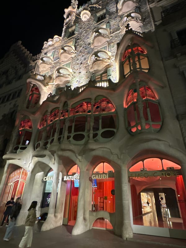 Evening observations captured along Barcelona's Passeig de Gràcia