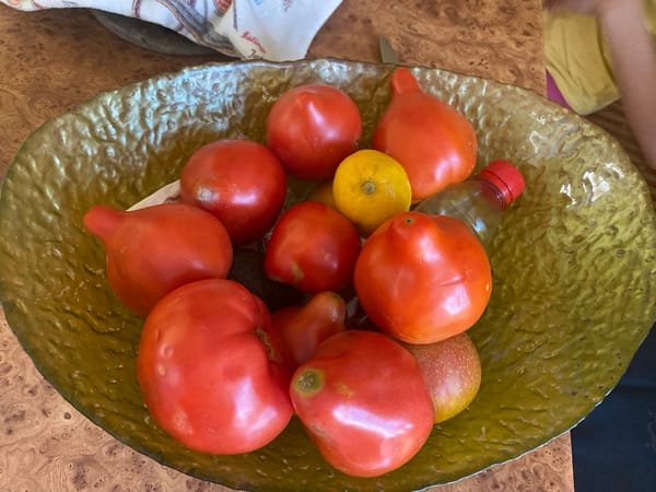 Everyday kitchen life in a Ukrainian home