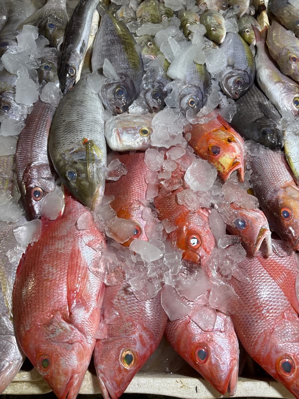 Fresh fish displayed on ice at Kuta market