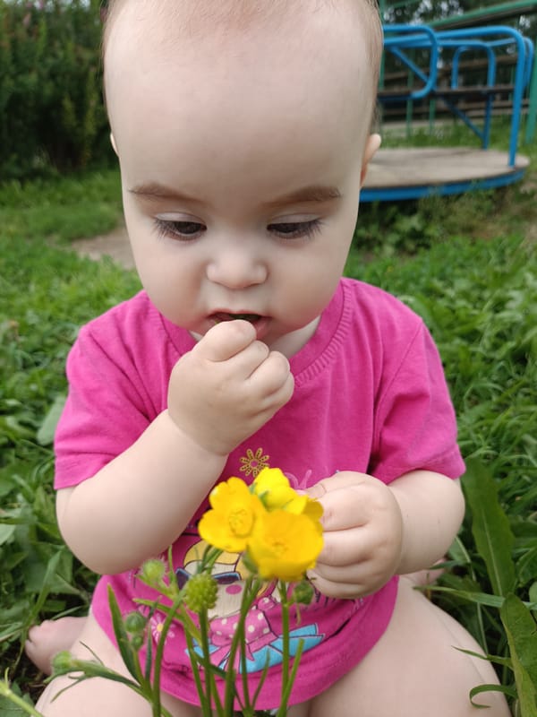 Toddler picks wildflowers and swings on a summer afternoon in Russia