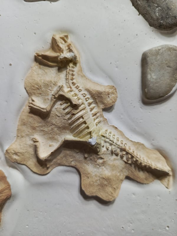 Fossil replicas, dinosaur displays documented in Guayaquil museum exhibit