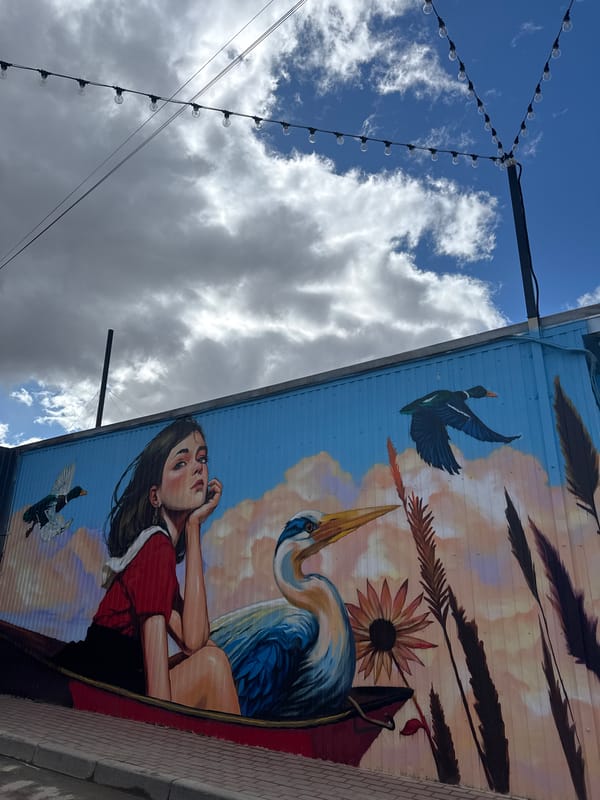 Street art and umbrella installations documented in Osa Russia