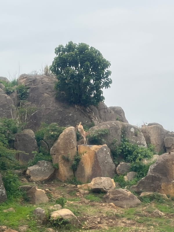 Exploring rocky Nigerian terrain and village life in Gura Top
