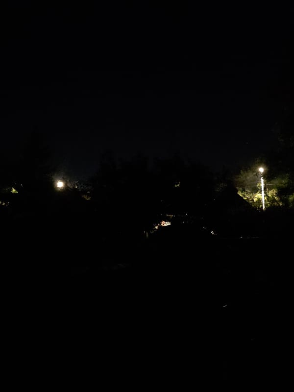 Full moon rising through trees in Dnipro, Ukraine