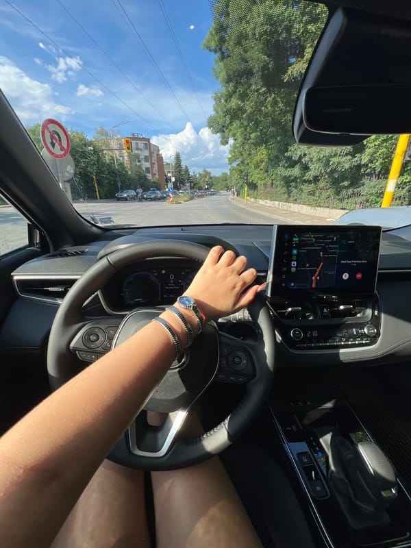 Afternoon snapshots from Sofia: driving, watches, and a dog