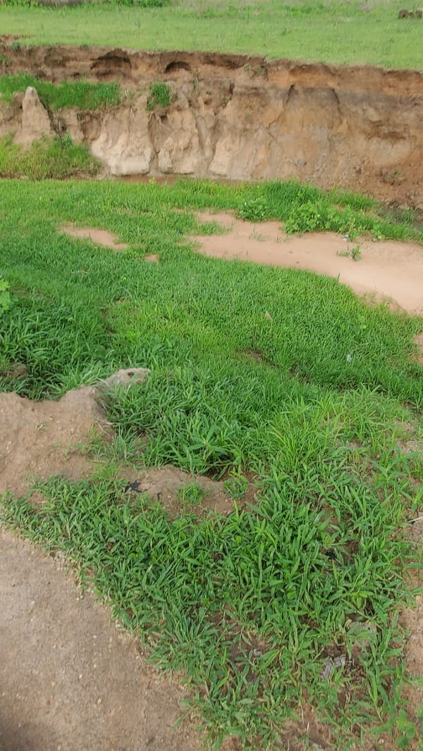 Rural construction site documentation shows mixed development and natural features