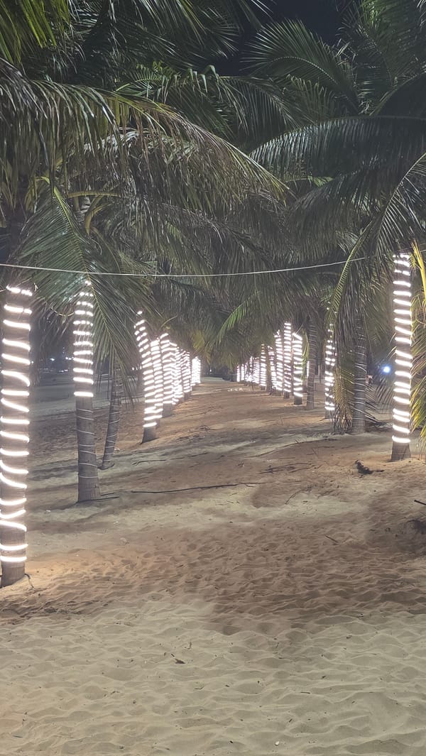 Evening scenes captured in Nha Trang show dog, moon, tricycle