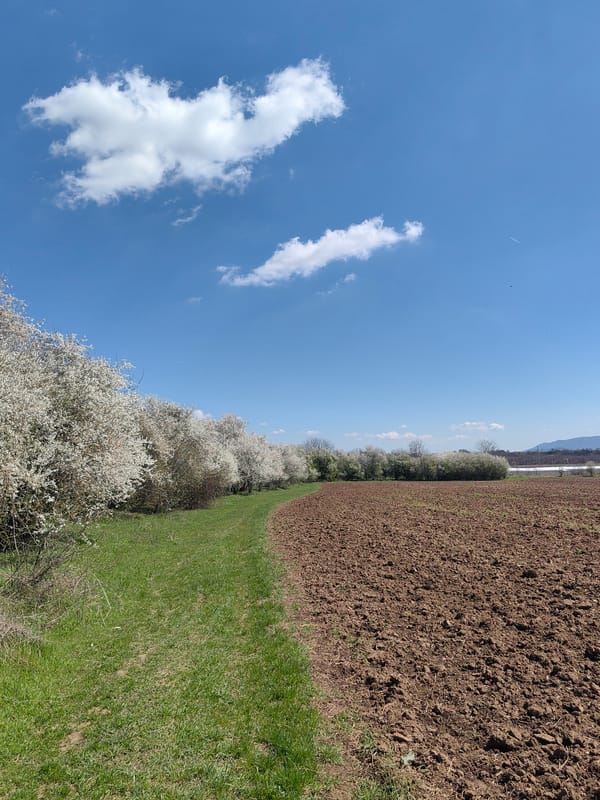 Spring blooms and plowed fields witnessed in rural Bulgaria