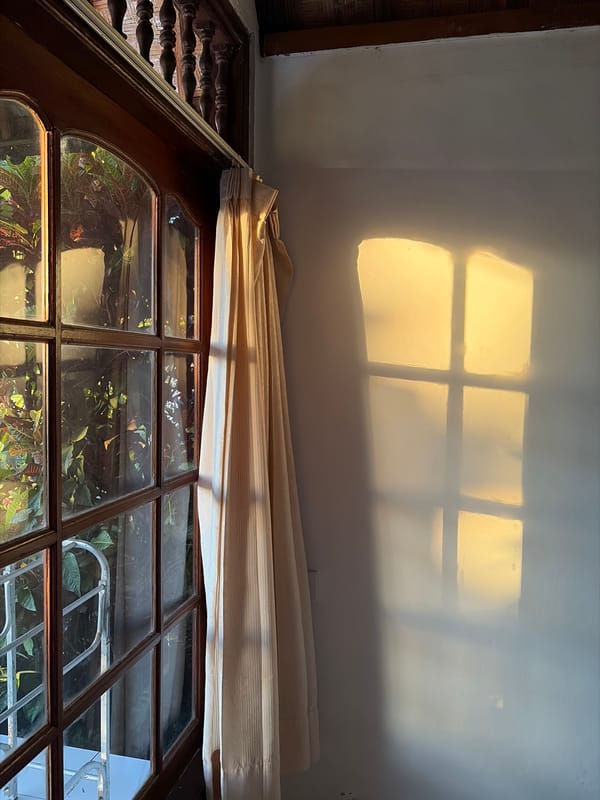 Ubud at golden hour — dawn, dusk, and tropical light