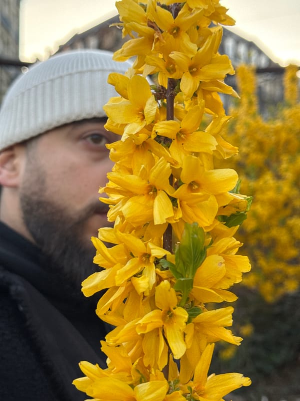 Evening photo walk through historic Strasbourg captured spring scenes