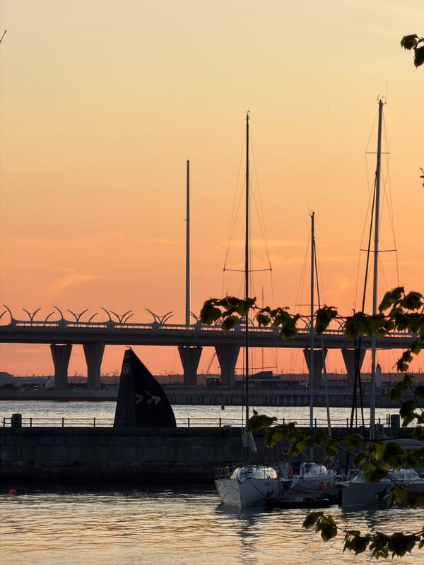 Sunset sailing event documented in Saint Petersburg marina