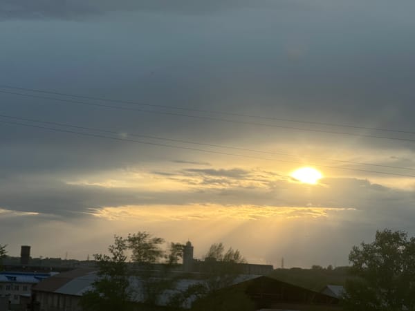 Sunset observed over Biysk, Russia with birds in flight