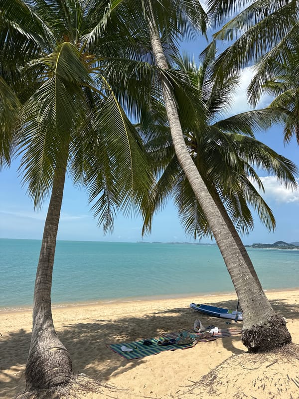 Sunny morning on a palm-lined Ko Samui beach