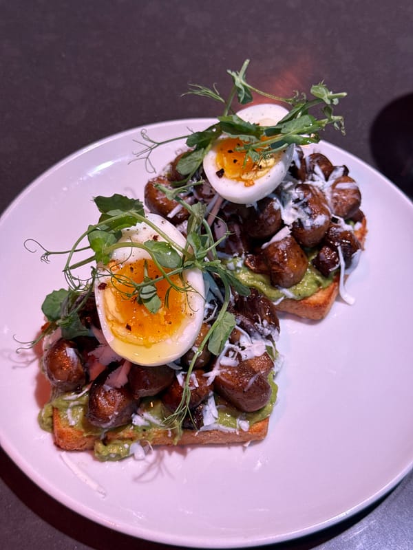 Avocado toast and a napping dog: a low-key Montreal evening