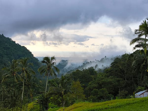 Tropical landscape documented near Sekumpul, Indonesia