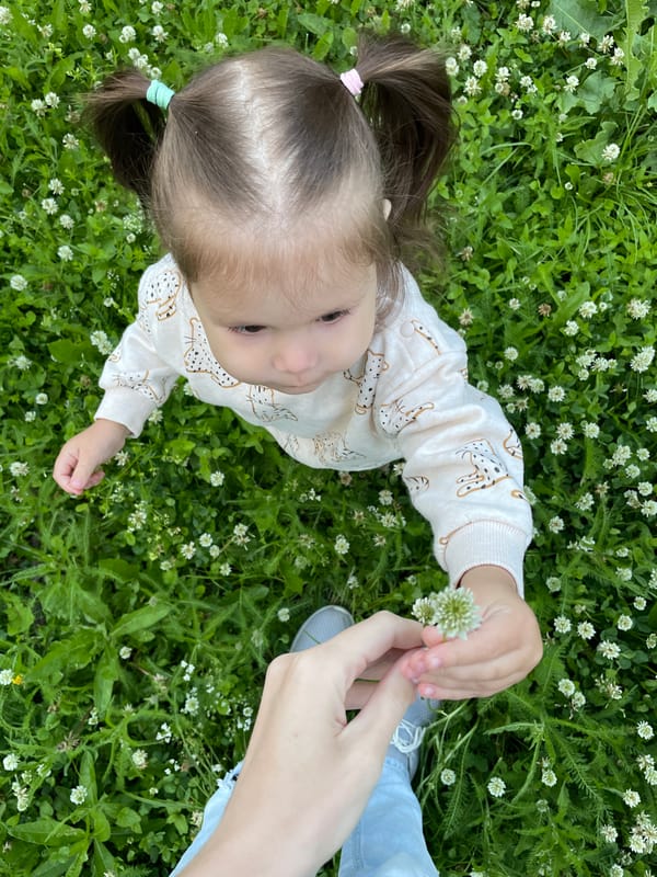 Afternoon in Izhevsk: a toddler's summer day outdoors