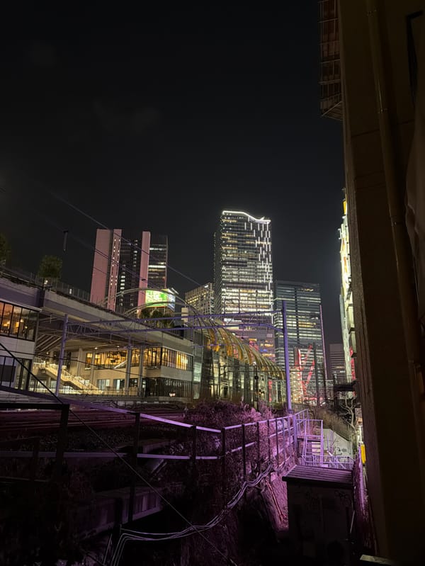 Sashimi dining experience documented in Shibuya restaurant