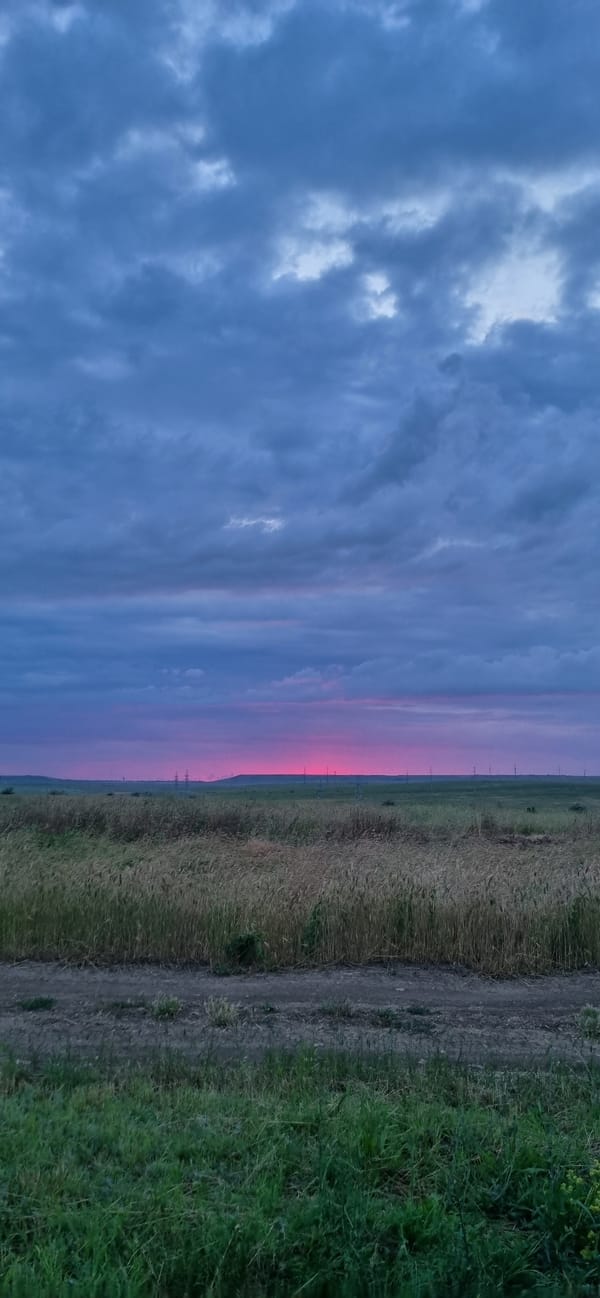 Open fields and farmland across rural Blizhnee, Ukraine