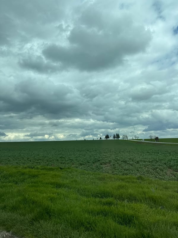 Overcast skies documented over green fields in rural Bulgaria