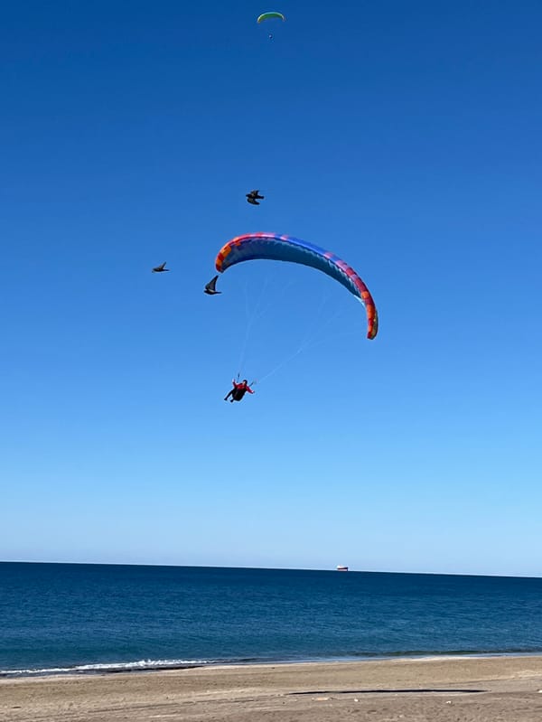 Morning paragliding and beach activities documented in Alanya, Turkey