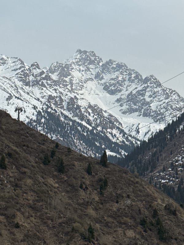 Families and dogs enjoy mountain overlook near Almaty
