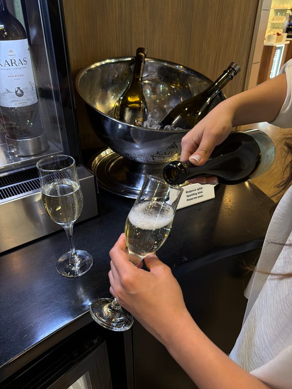 Evening wine service documented across Yerevan establishments and airport