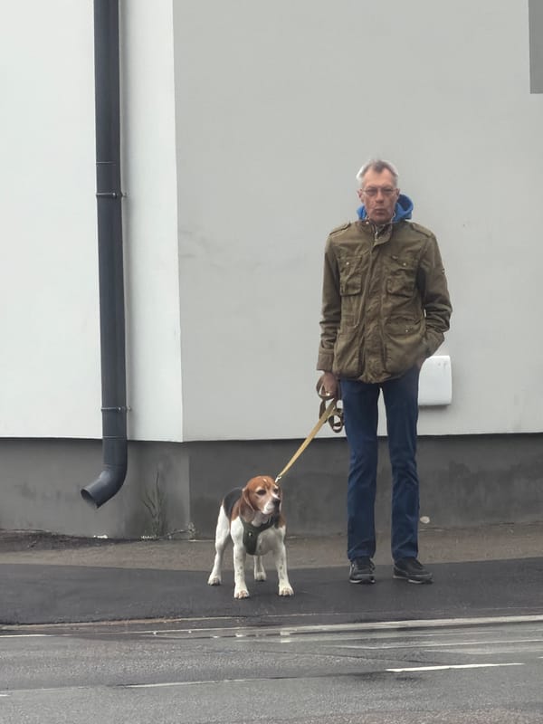 Quiet afternoon moments with pets captured in Riga