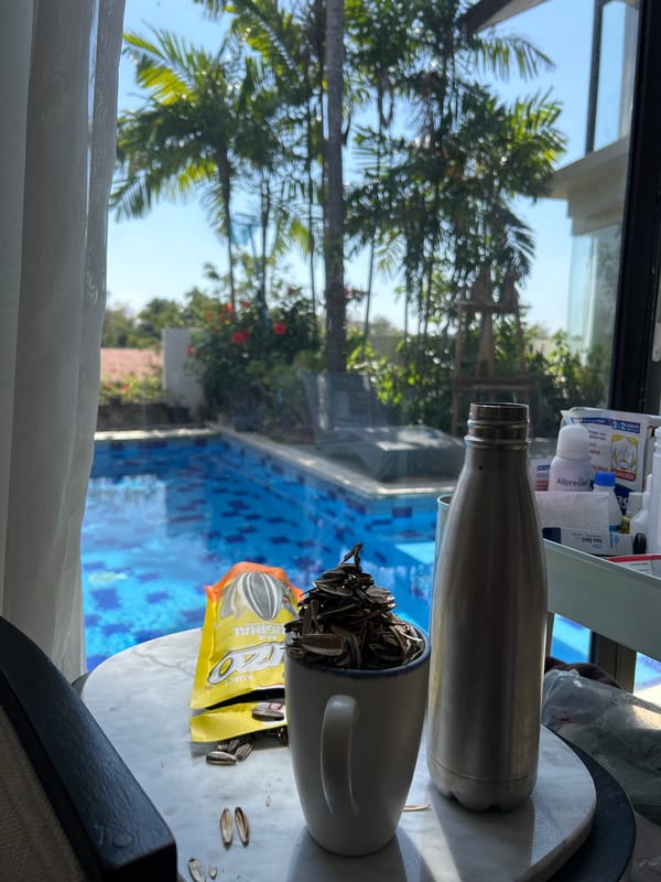 Sunflower seeds slowly emptied poolside in Kuta Selatan