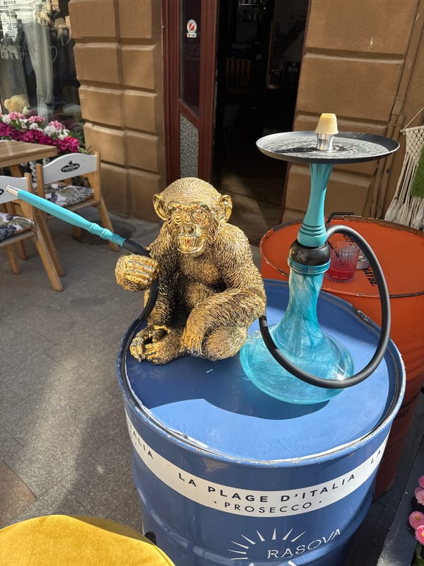 Afternoon scenes documented across Constanța, Romania tourist areas