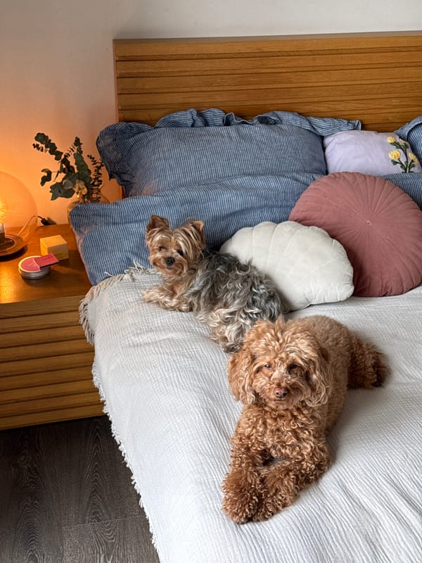 Woman relaxes with small dogs on bed in Tbilisi