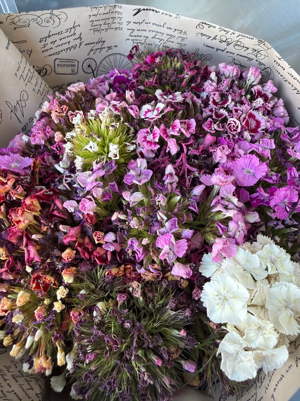Selfies, dried flowers, and a poodle in Kyiv