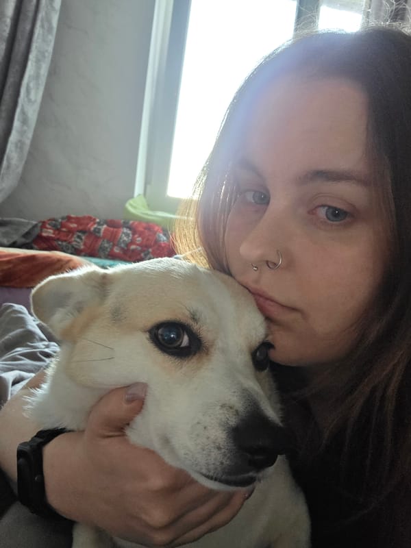Woman and corgi share quiet afternoon moments on bed