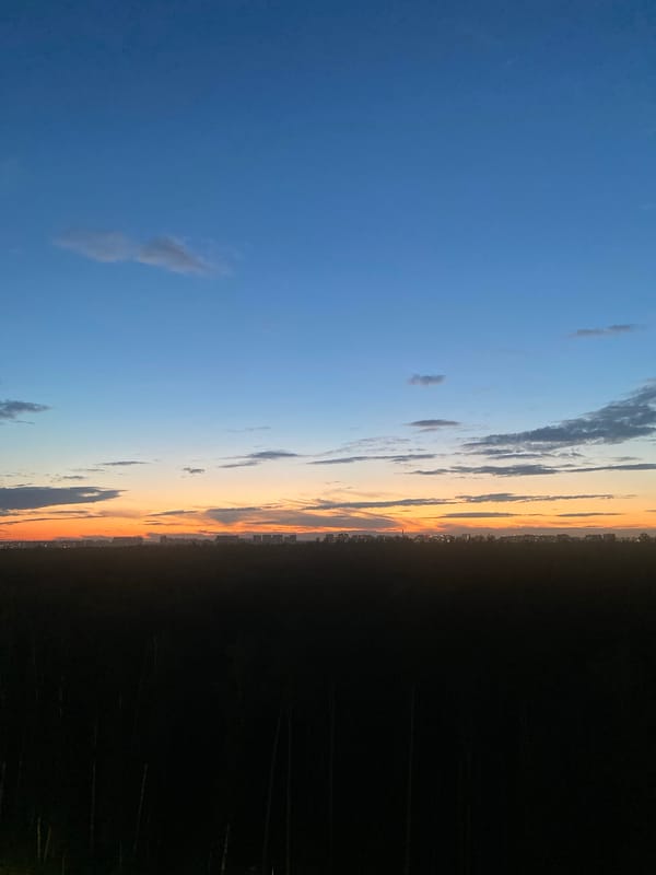 Sunset skyline and a single pink daisy at dusk