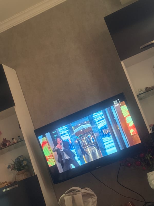 TV displays upside-down image, later shows Bullet Train movie
